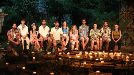 Survivor