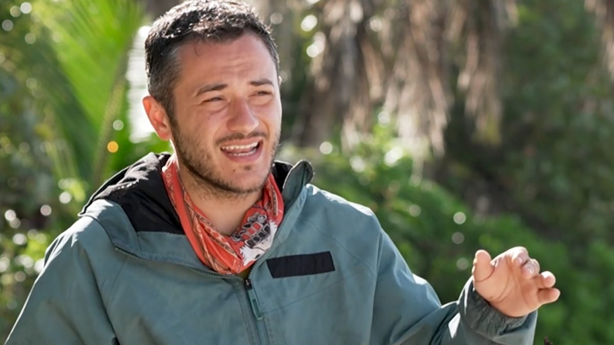 Δημήτρης Θεοδωρόπουλος, Survivor