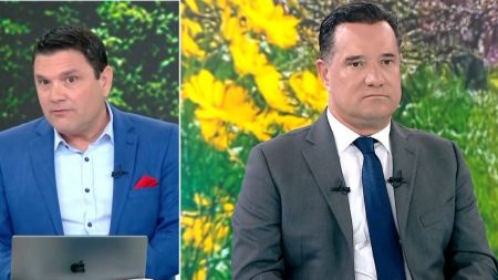 Άδωνις Γεωργιάδης