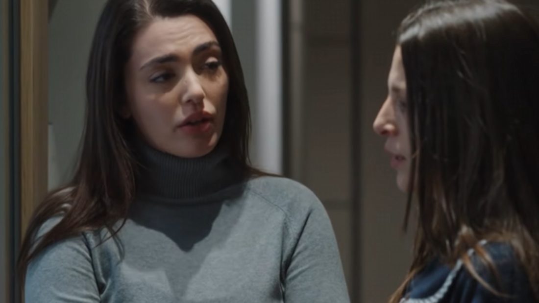 Γη της Ελιάς