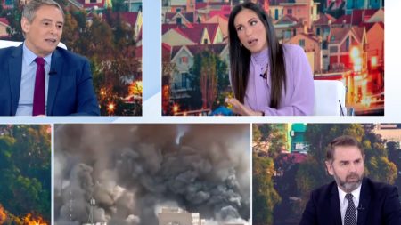 Ανθή Βούλγαρη, Σταύρος Μπαλάσκας