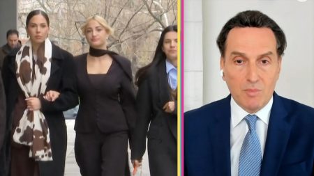 Μιχάλης Δημητρακόπουλος