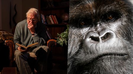 A Gorilla Story: Η νέα πρόταση του Netflix έχει την υπογραφή του Λεονάρντο ΝτιΚάπριο και ξεκίνησε από μια αγκαλιά στη Ρουάντα πριν από 50 χρόνια