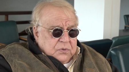 Μεγακλής Βιντιάδης