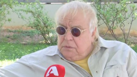 Μεγακλής Βιντιάδης