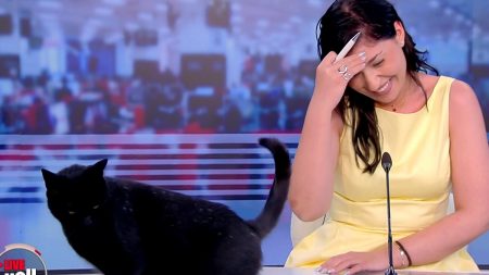 Η μαύρη γάτα έκανε πάλι την εμφάνισή της στον αέρα του Live You