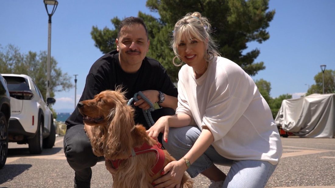 Pet Stories