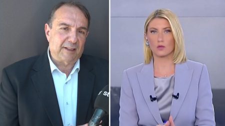 Μηνάς Τσαμόπουλος