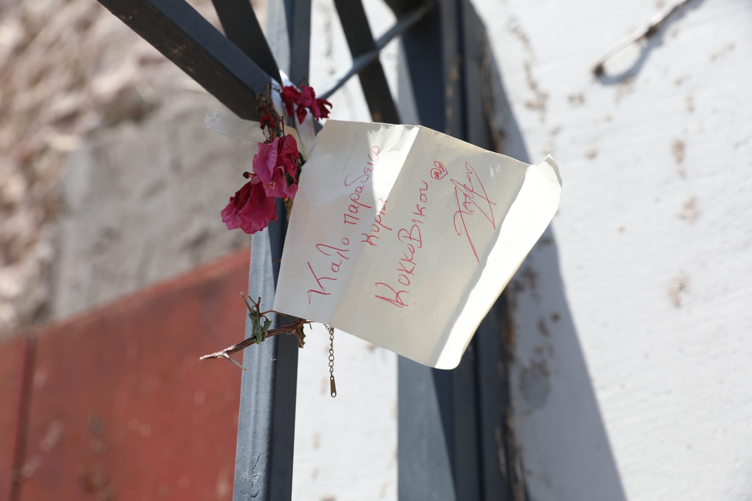 ΣΗΜΕΙΩΜΑΤΑ ΚΑΙ ΛΟΥΛΟΥΔΙΑ ΣΤΟ ΣΠΙΤΙ ΠΟΥ ΓΥΡΙΣΤΗΚΕ Η ΤΑΙΝΙΑ ΜΕ ΤΗΝ ΜΑΡΩ ΚΟΝΤΟΥ Η ΔΕ ΓΥΝΗ ΝΑ ΦΟΒΗΤΑΙ ΤΟΝ ΑΝΤΡΑ (ΔΑΝΑΗ ΔΑΥΛΟΠΟΥΛΟΥ