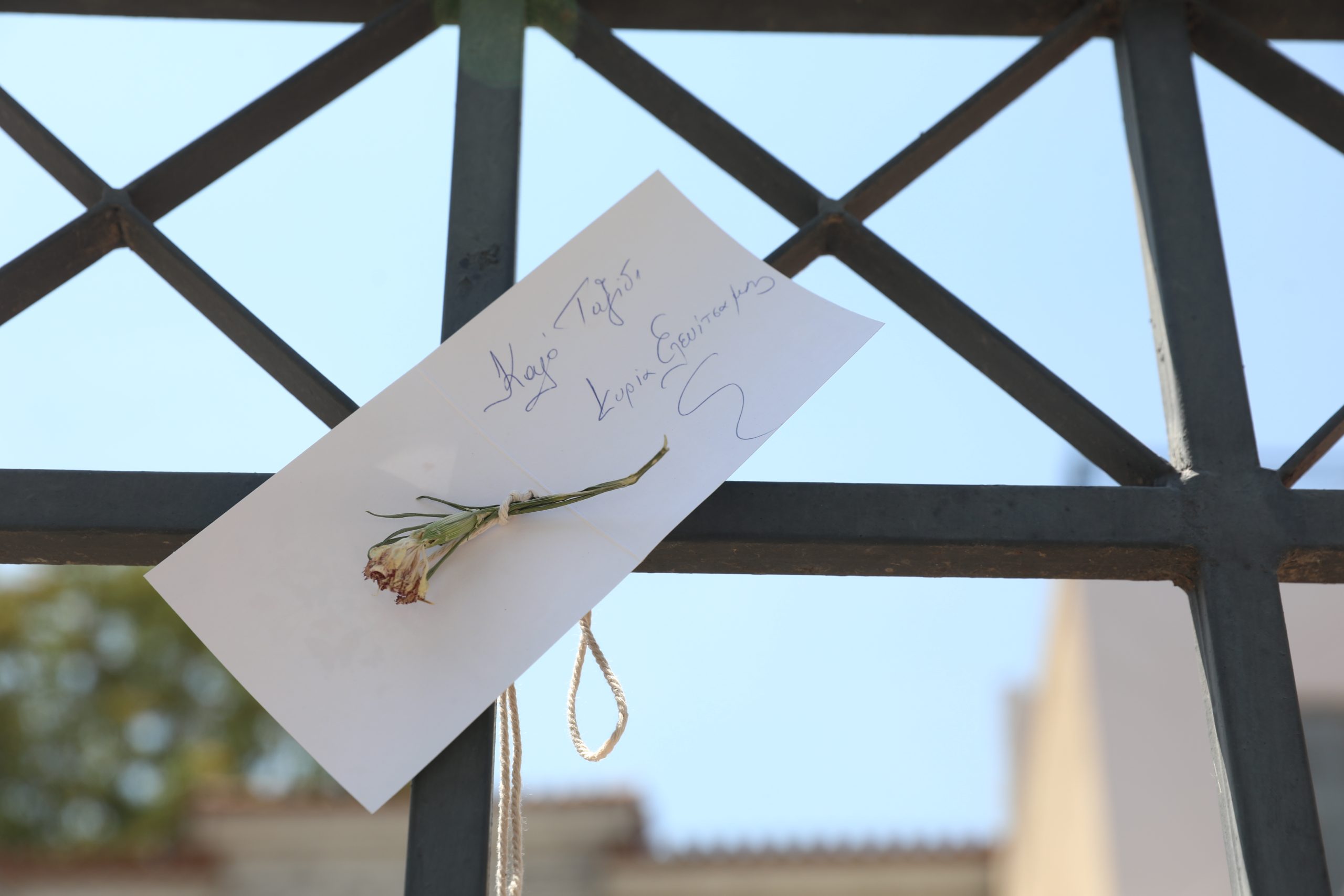 ΣΗΜΕΙΩΜΑΤΑ ΚΑΙ ΛΟΥΛΟΥΔΙΑ ΣΤΟ ΣΠΙΤΙ ΠΟΥ ΓΥΡΙΣΤΗΚΕ Η ΤΑΙΝΙΑ ΜΕ ΤΗΝ ΜΑΡΩ ΚΟΝΤΟΥ Η ΔΕ ΓΥΝΗ ΝΑ ΦΟΒΗΤΑΙ ΤΟΝ ΑΝΤΡΑ (ΔΑΝΑΗ ΔΑΥΛΟΠΟΥΛΟΥ