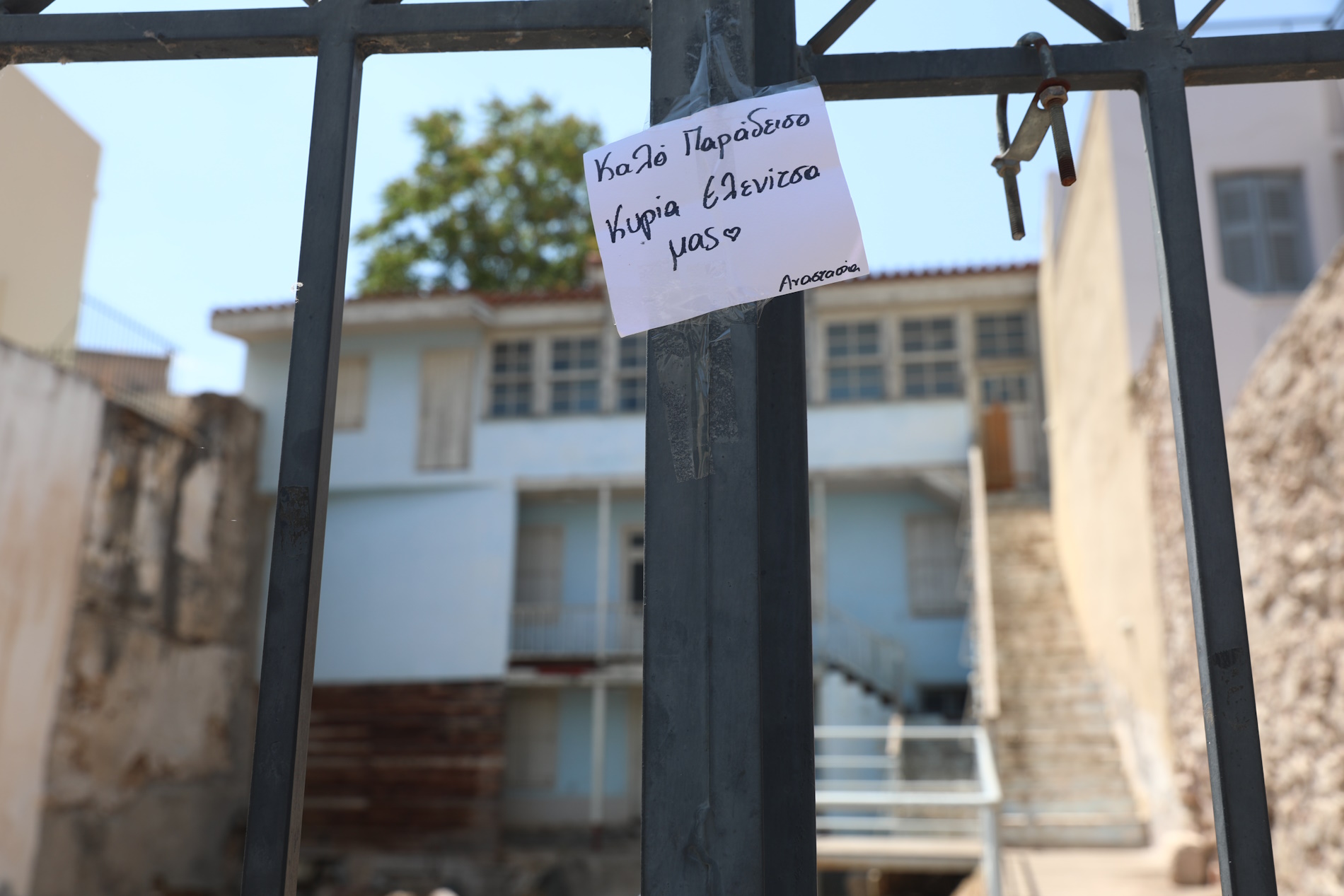 ΣΗΜΕΙΩΜΑΤΑ ΚΑΙ ΛΟΥΛΟΥΔΙΑ ΣΤΟ ΣΠΙΤΙ ΠΟΥ ΓΥΡΙΣΤΗΚΕ Η ΤΑΙΝΙΑ ΜΕ ΤΗΝ ΜΑΡΩ ΚΟΝΤΟΥ Η ΔΕ ΓΥΝΗ ΝΑ ΦΟΒΗΤΑΙ ΤΟΝ ΑΝΤΡΑ (ΔΑΝΑΗ ΔΑΥΛΟΠΟΥΛΟΥ