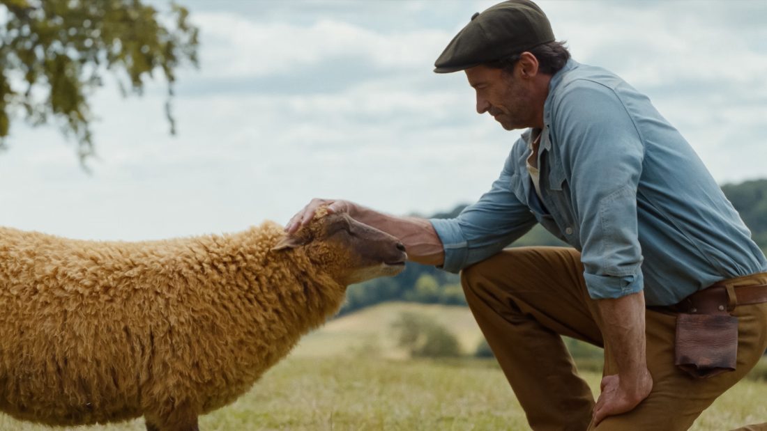 the-sheep-detectives-prime-video