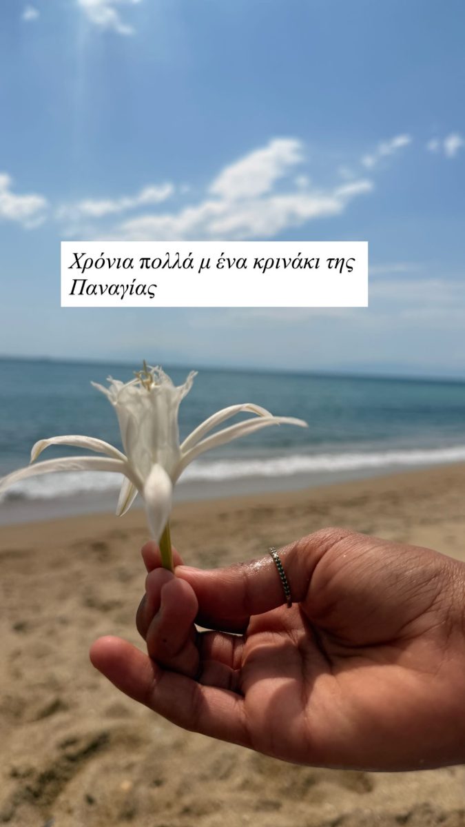 nansy zampetoglou